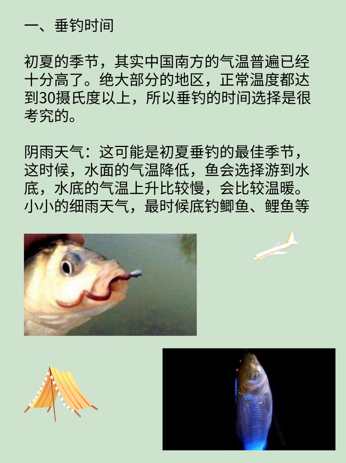 关于初夏野钓鲤鱼用饵技巧的信息 关于初夏野钓鲤鱼用饵技巧的信息