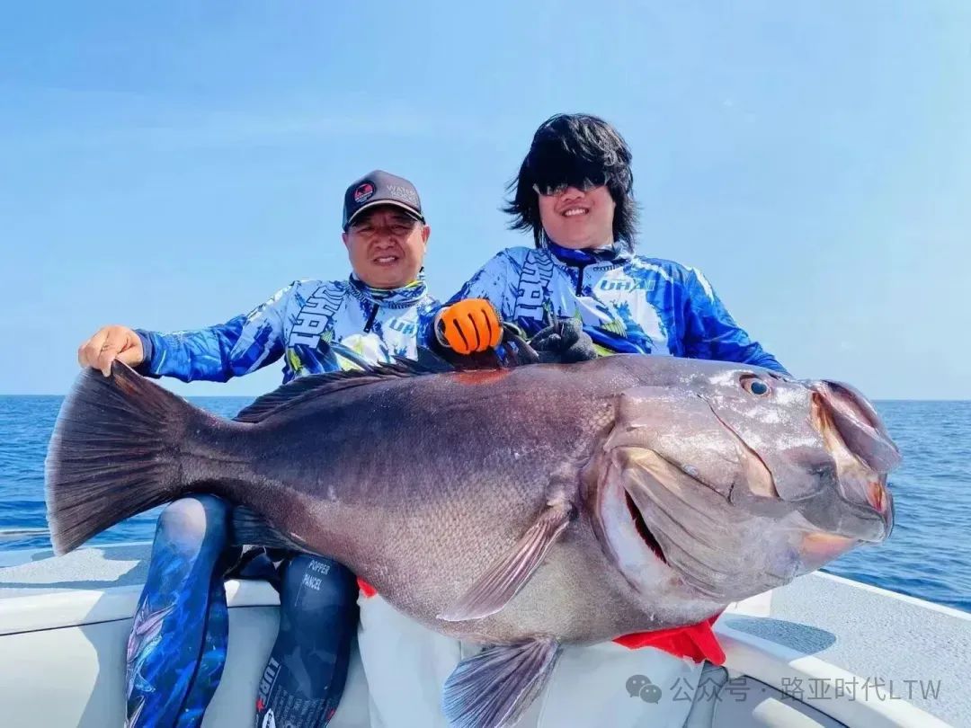 12月海钓哪里合适(12月海钓还能钓到鱼么)