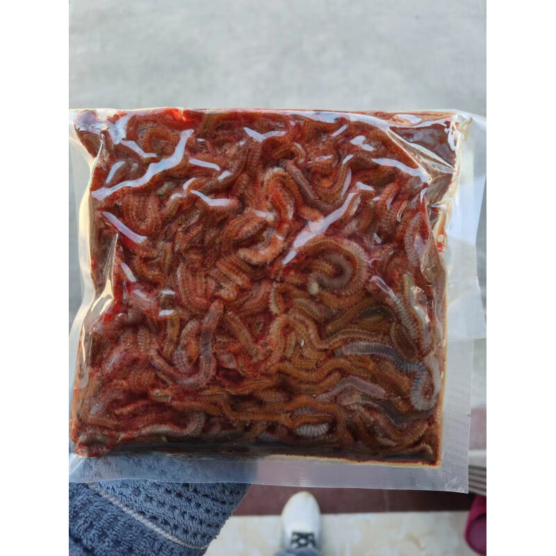 海钓沙虫的挂法(沙虫钓鱼的用法)