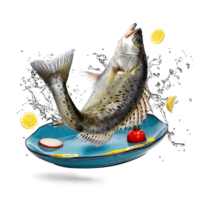 福清海钓生鲜(福清海鲜便宜吗)