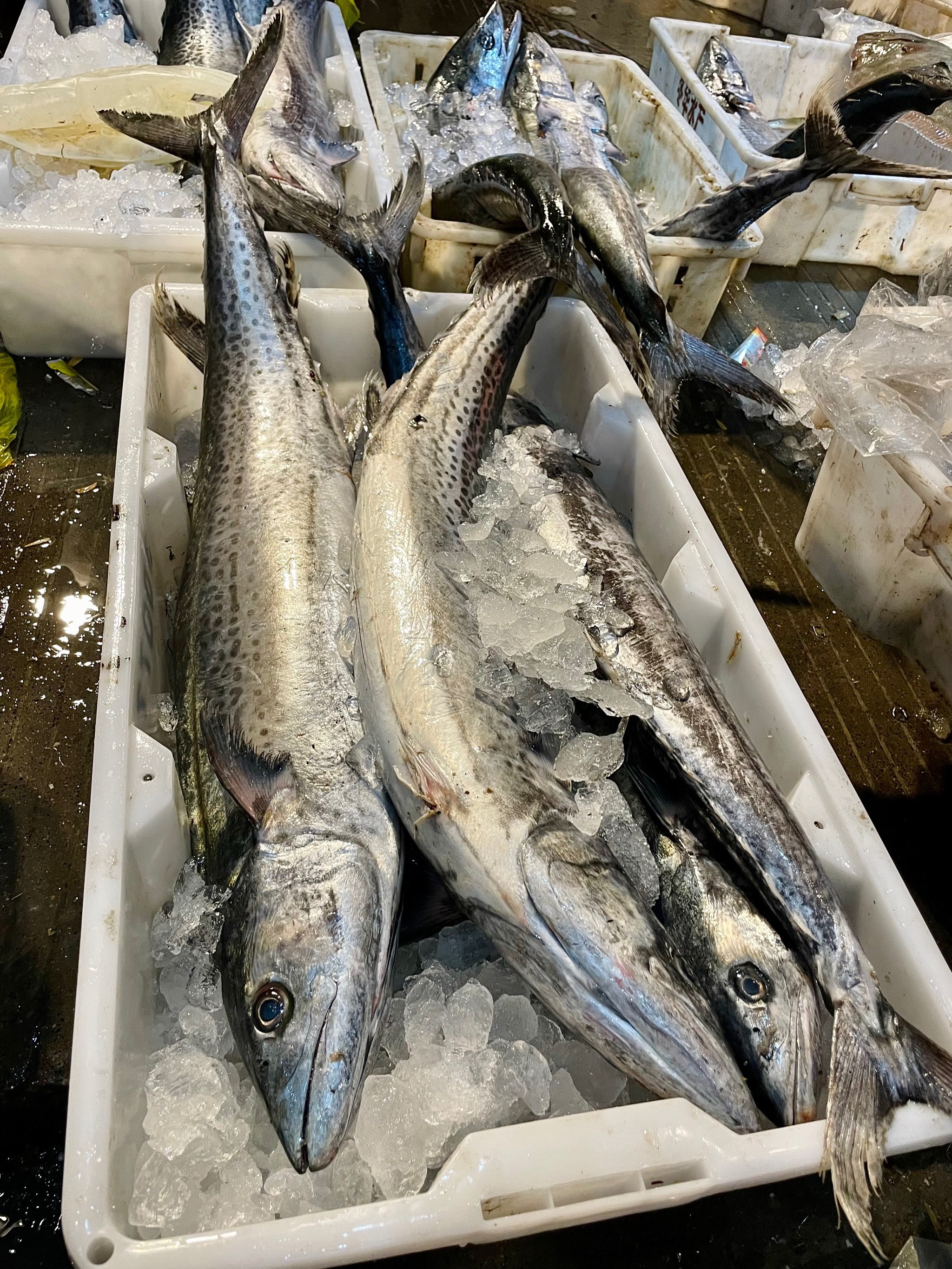 福清海钓生鲜(福清海鲜便宜吗)