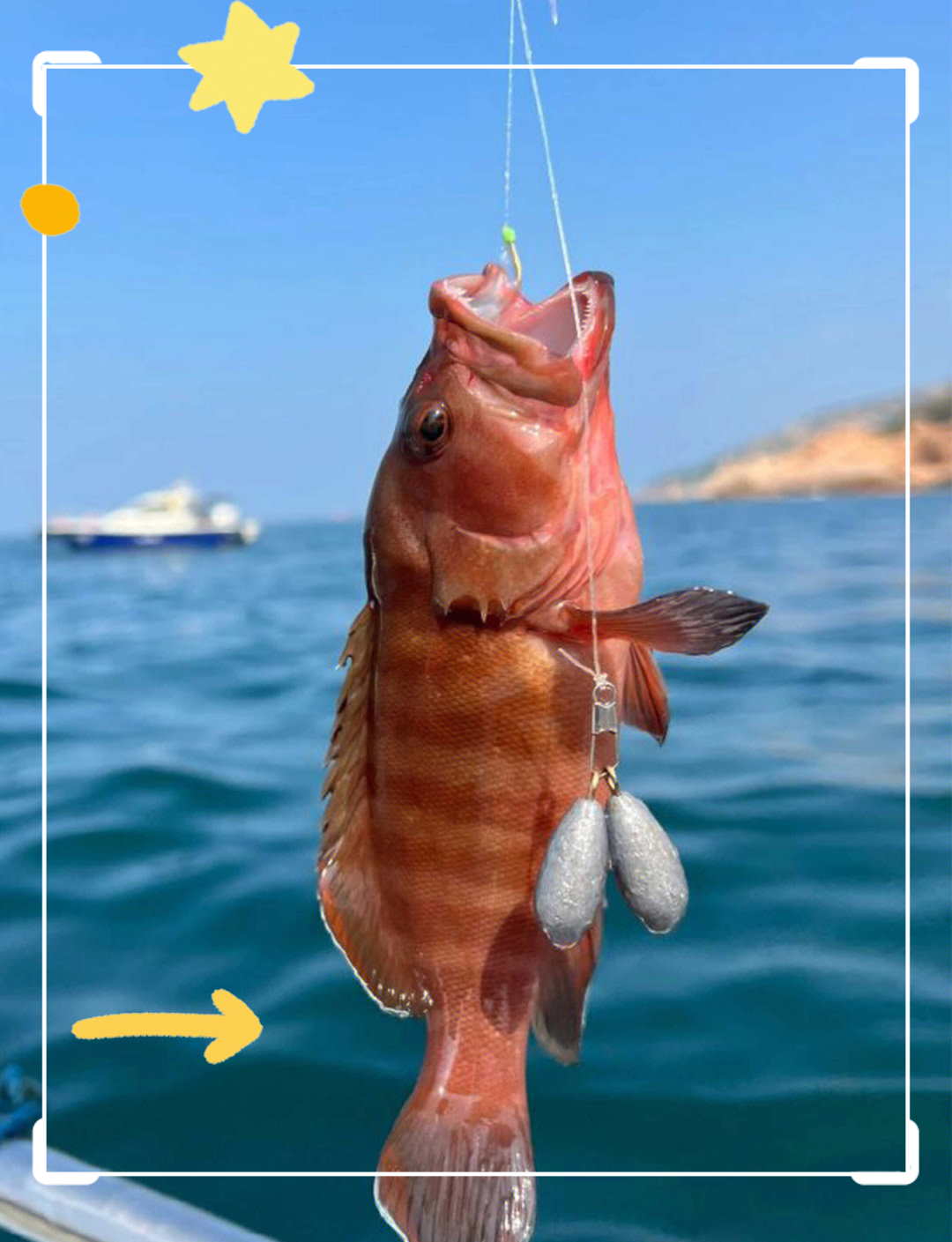 深圳海钓去哪里好(深圳海钓鱼地方有哪些) 深圳海钓去哪里好(深圳海钓鱼地方有哪些)