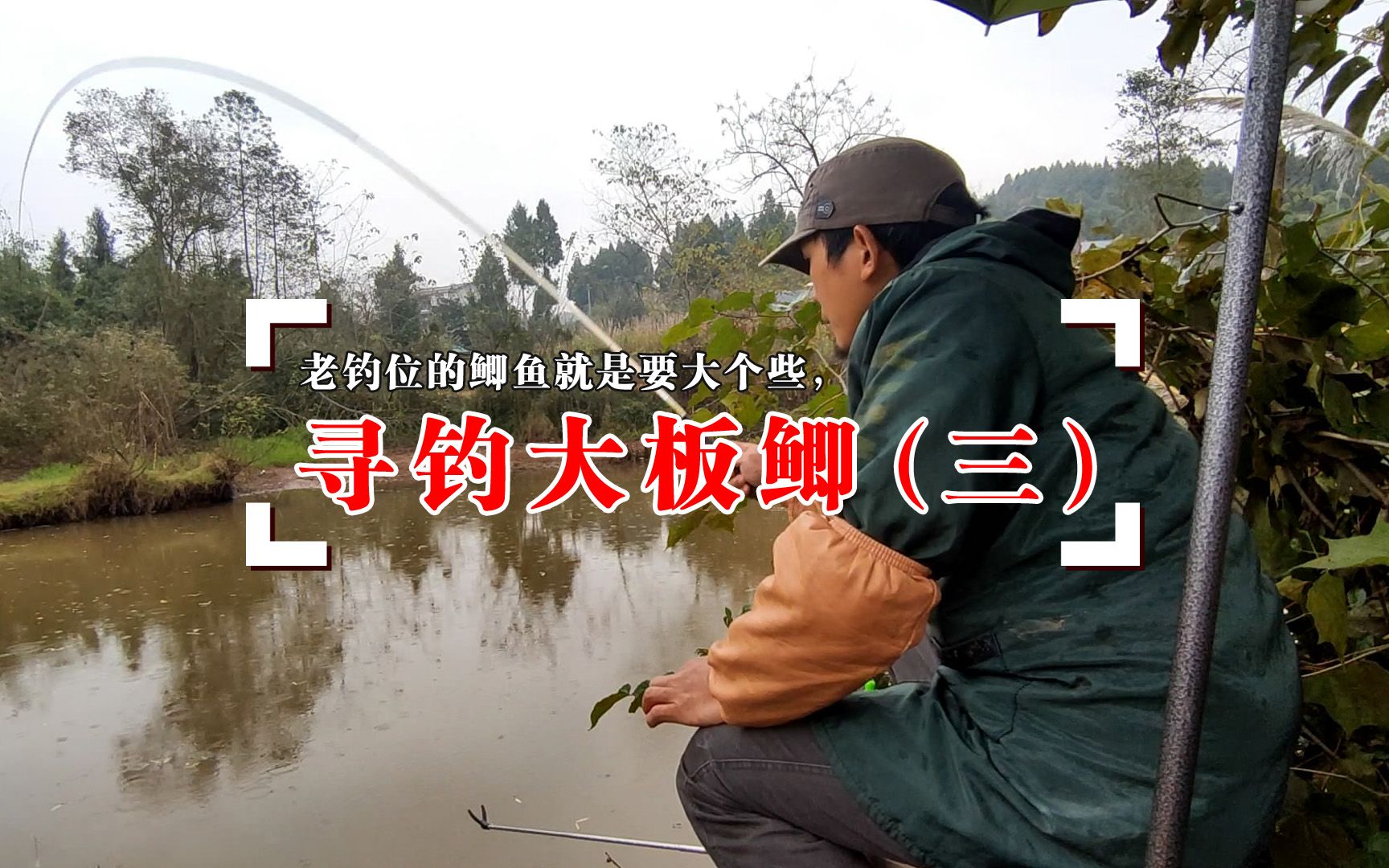 小河野钓鱼技巧(野钓小河视频)