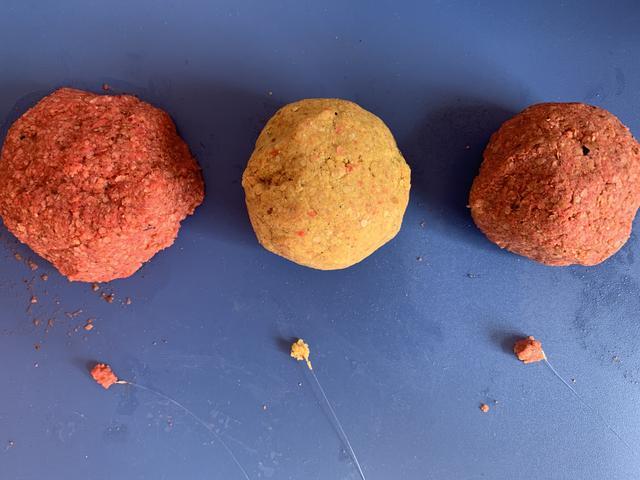 嘉兴钓鱼饵料(嘉兴钓鱼好去处) 嘉兴钓鱼饵料(嘉兴钓鱼好去处)