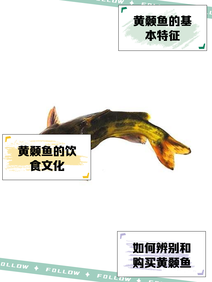 钓huang嘎鱼技巧(野钓黄颡鱼的一些技巧小结) 钓huang嘎鱼技巧(野钓黄颡鱼的一些技巧小结)