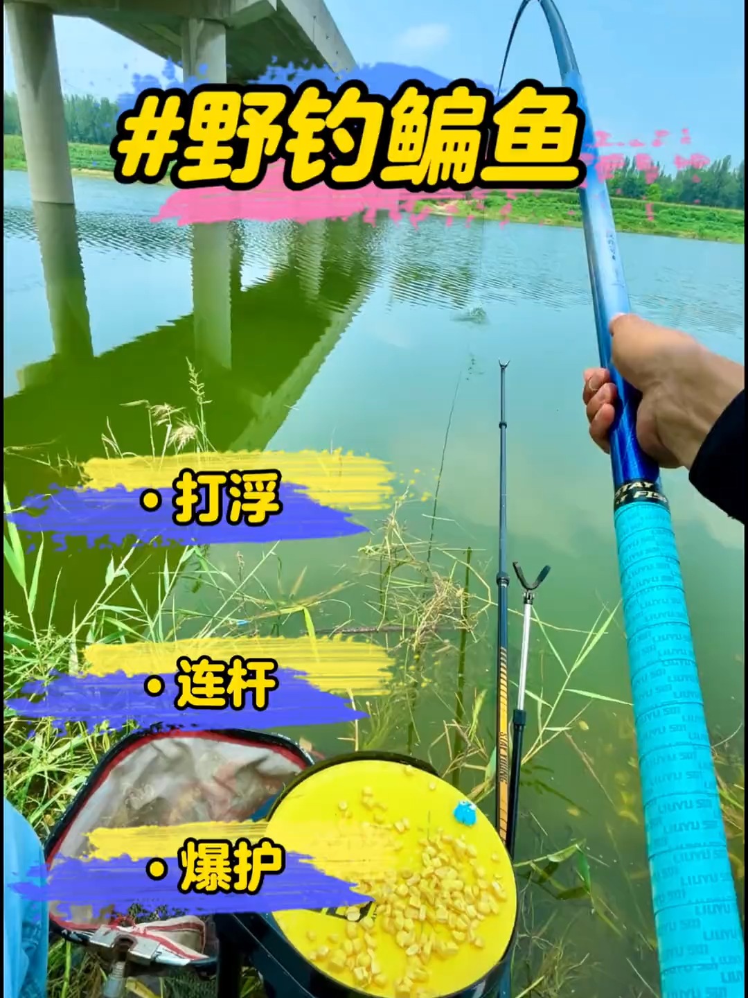 钓鳊鱼特效饵料视屏(钓鲮鱼的饵料配方大全) 钓鳊鱼特效饵料视屏(钓鲮鱼的饵料配方大全)