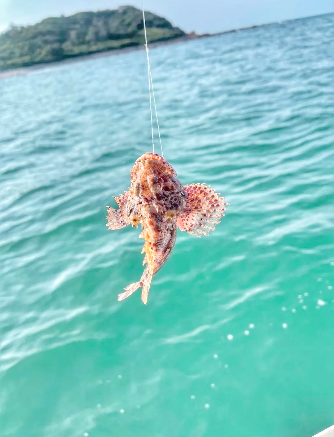 北海钓鱼视频(北海钓鱼的好地方) 北海钓鱼视频(北海钓鱼的好地方)