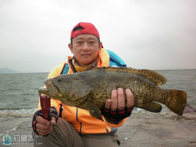 荷包岛包船海钓(荷包岛可以赶海吗)