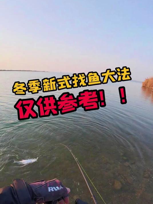 搜鱼技巧(搜鱼科技有限公司) 搜鱼技巧(搜鱼科技有限公司)