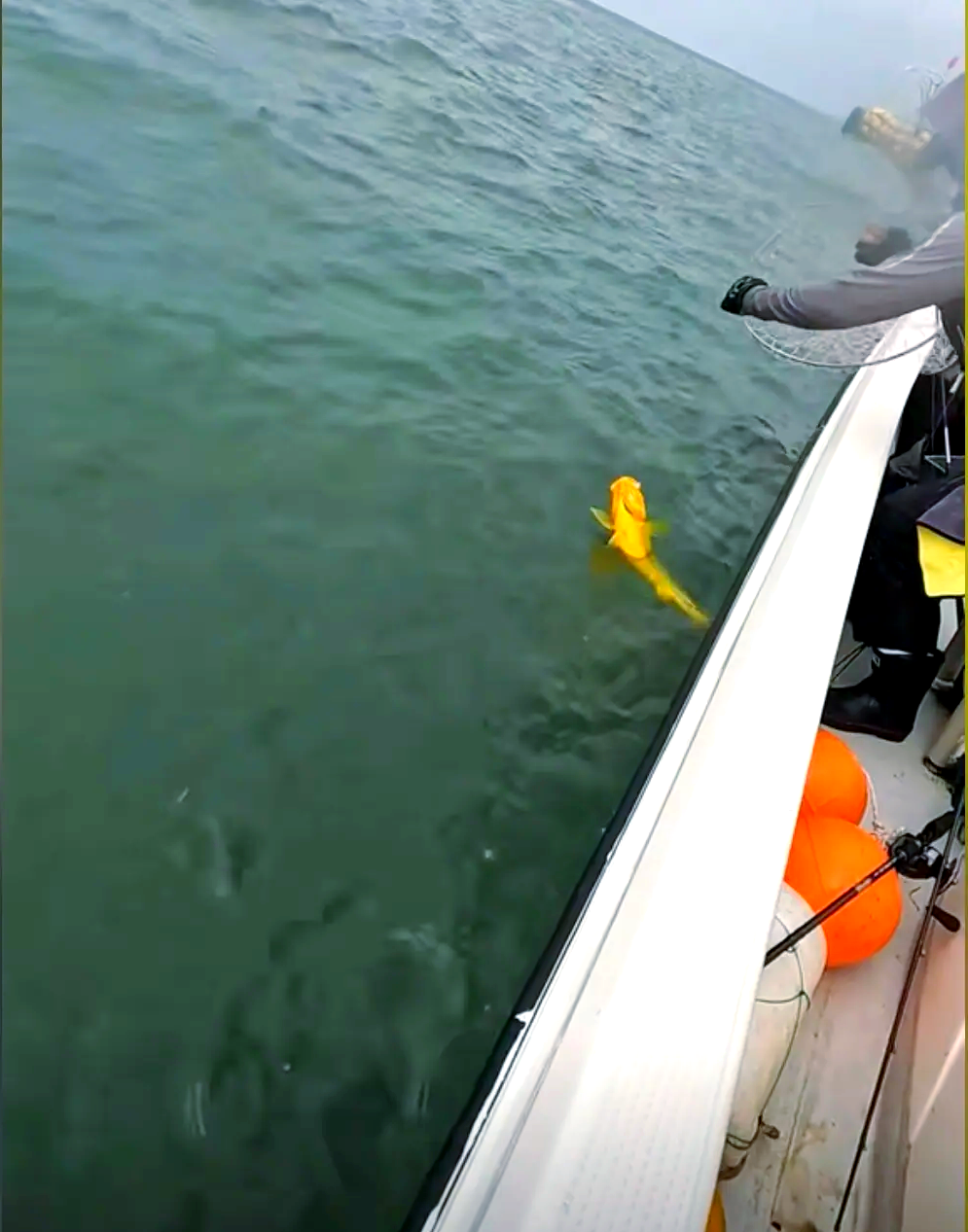 海钓水深(海钓水深120米最佳钓鱼水深多少米) 海钓水深(海钓水深120米最佳钓鱼水深多少米)