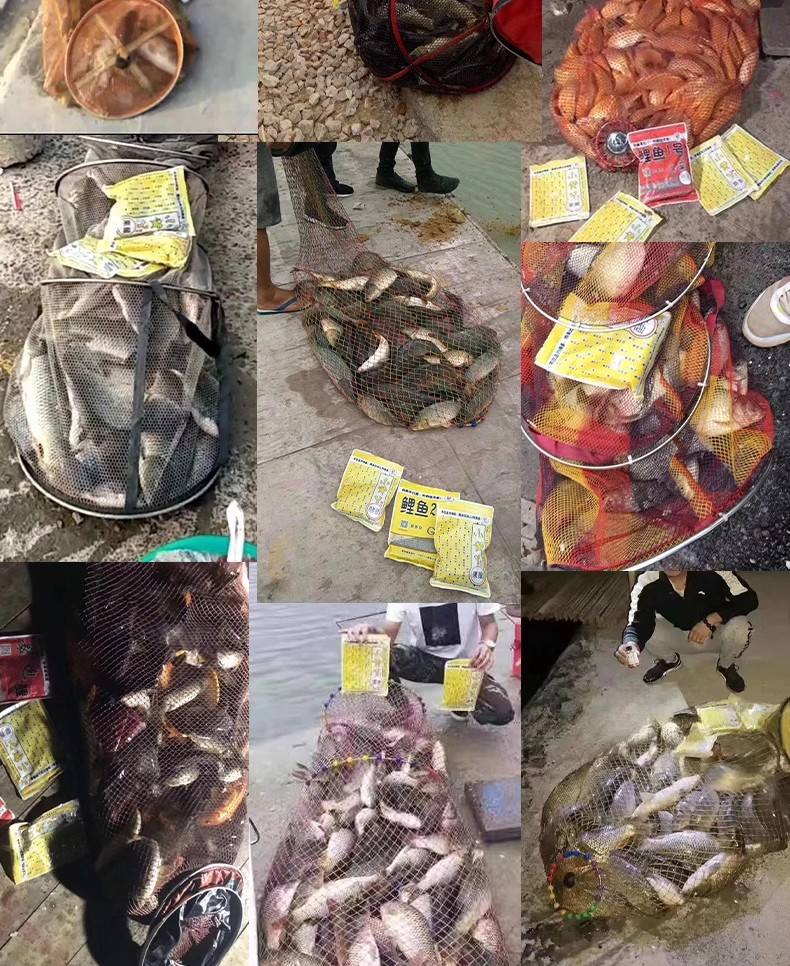 老g小黄丫饵料(老g小黄丫饵料怎么搭配) 老g小黄丫饵料(老g小黄丫饵料怎么搭配)