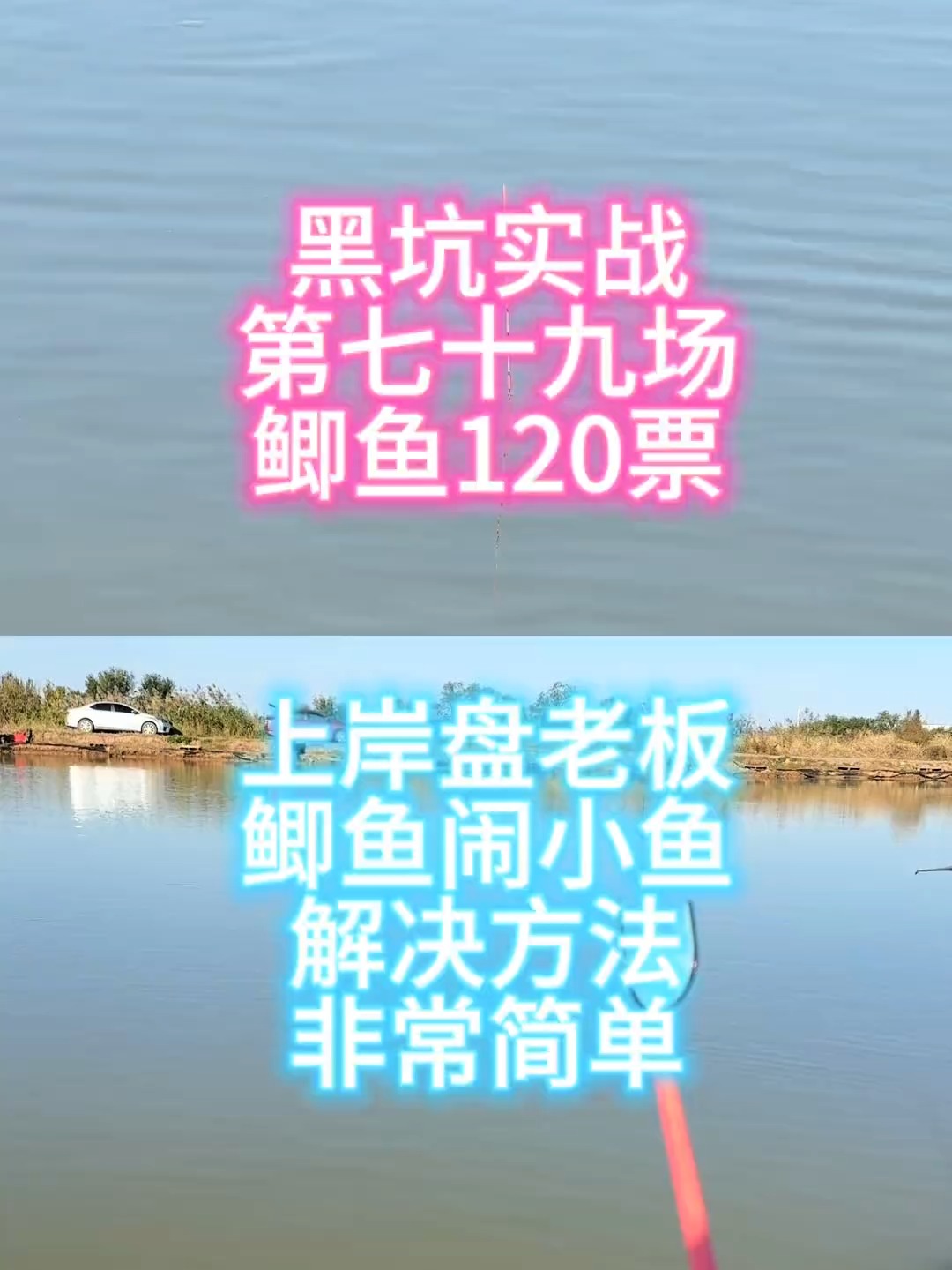 黑坑鲫鱼钓浮技巧(黑坑钓鲫鱼怎么调漂最好) 黑坑鲫鱼钓浮技巧(黑坑钓鲫鱼怎么调漂最好)