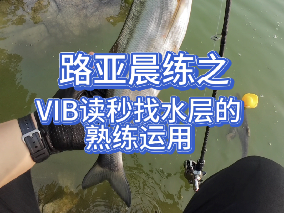 路亚水层(路亚怎么控制水层教学视频) 路亚水层(路亚怎么控制水层教学视频)