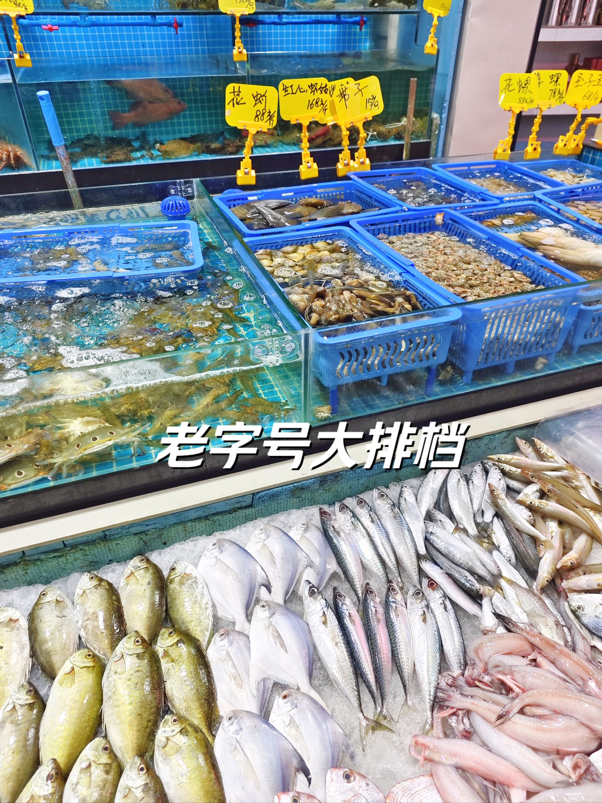 大连哪卖渔具便宜(大连渔具厂) 大连哪卖渔具便宜(大连渔具厂)