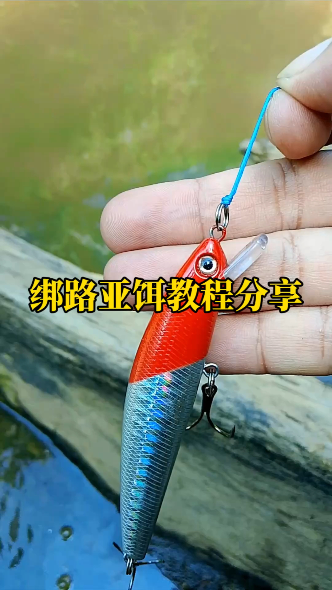 路亚饵怎么挂(路亚饵怎么挂钩最简单方法视频) 路亚饵怎么挂(路亚饵怎么挂钩最简单方法视频)