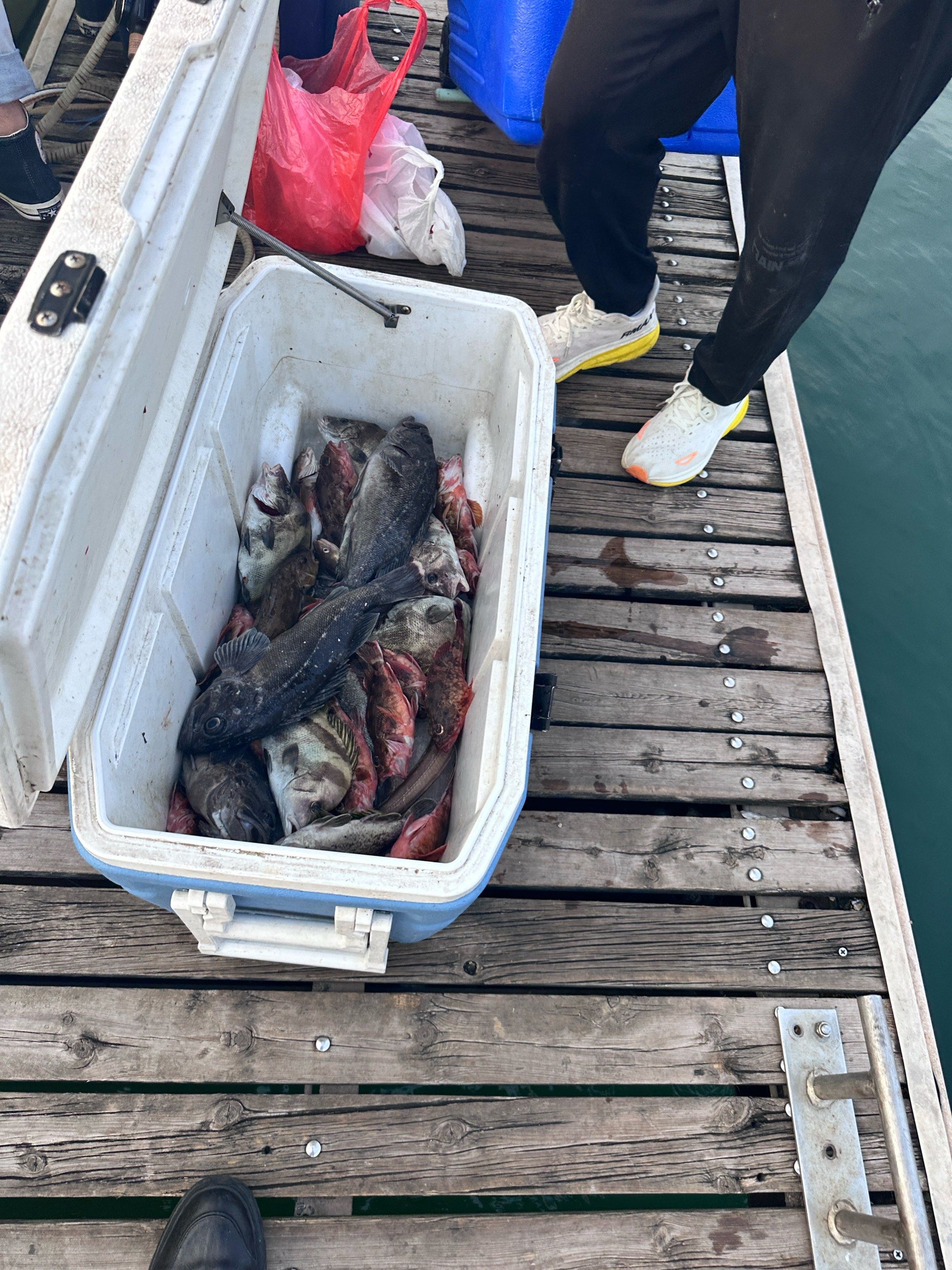 霸气的海钓俱乐部名字(霸气的海钓俱乐部名字) 霸气的海钓俱乐部名字(霸气的海钓俱乐部名字)