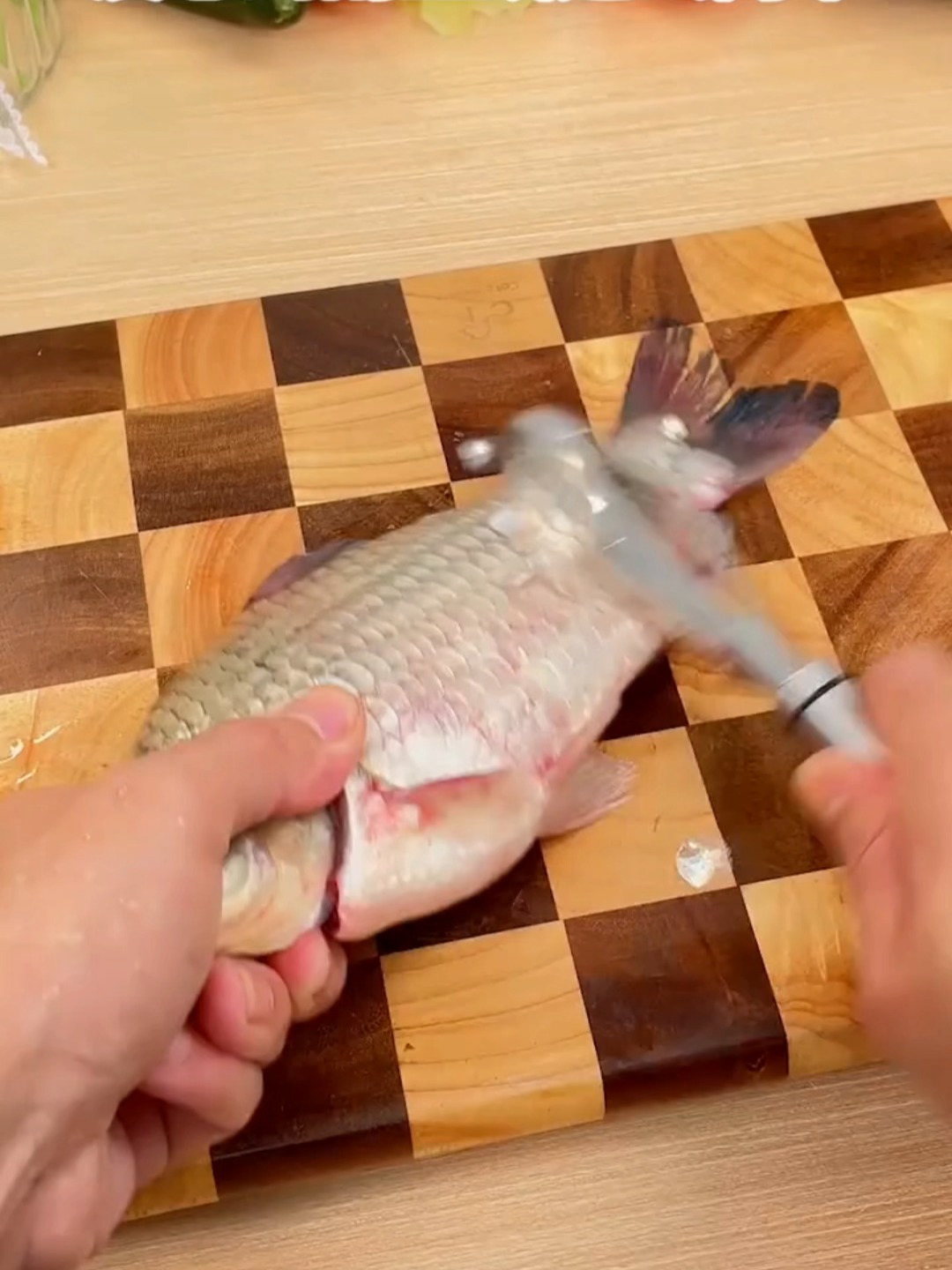 鱼饵料伤手怎么办(鱼饵伤手 反复) 鱼饵料伤手怎么办(鱼饵伤手 反复)