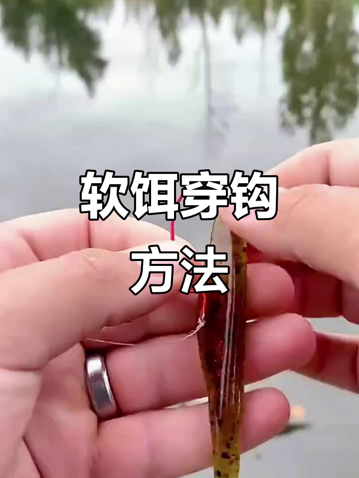 软饵钓鳜鱼技巧(软饵钓鳜鱼手法) 软饵钓鳜鱼技巧(软饵钓鳜鱼手法)