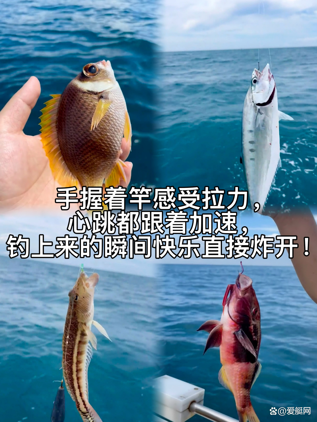 万宁海钓点(万宁水库钓点) 万宁海钓点(万宁水库钓点)