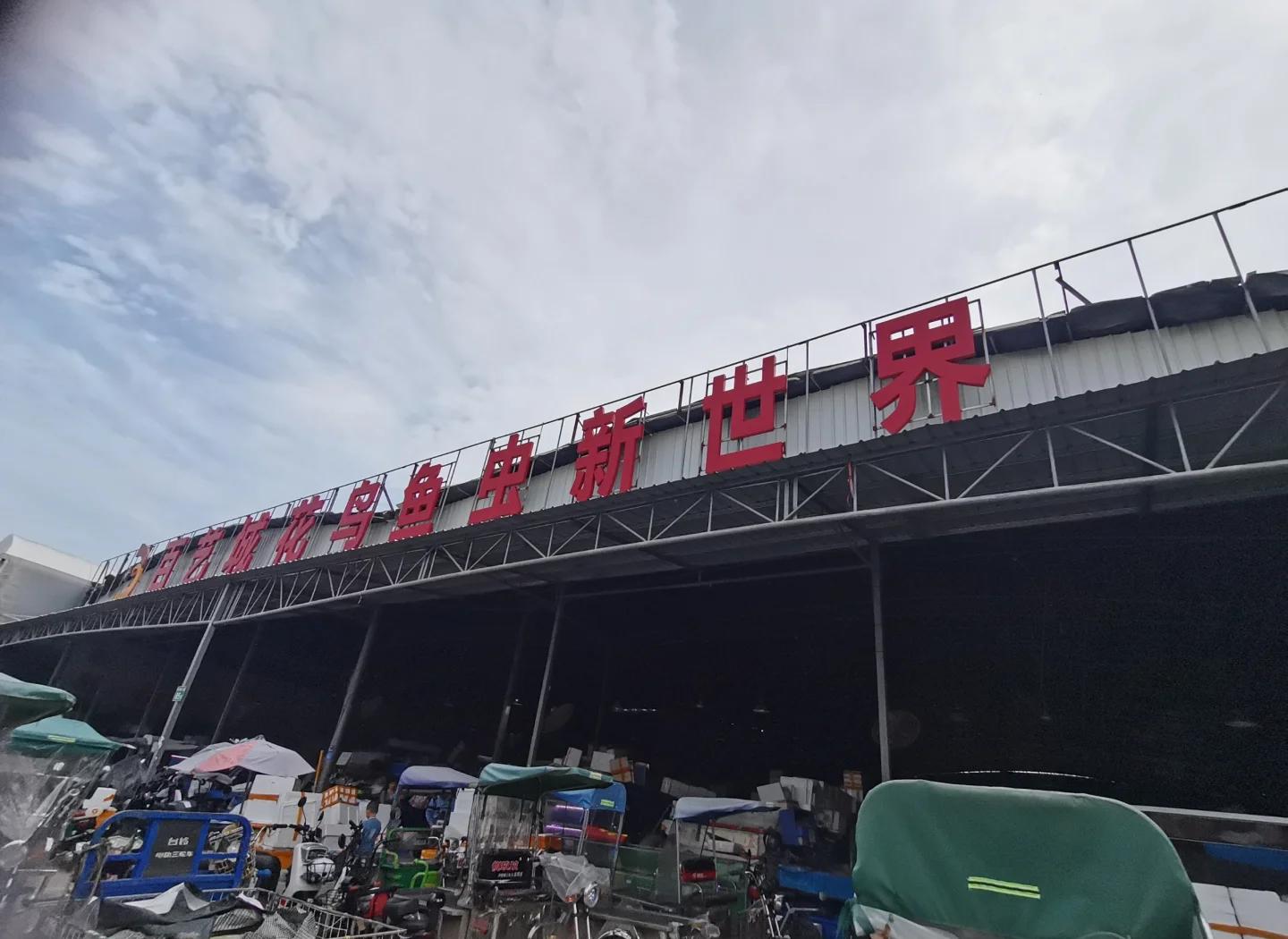 广州渔具市场有哪些(广州卖渔具的地方) 广州渔具市场有哪些(广州卖渔具的地方)