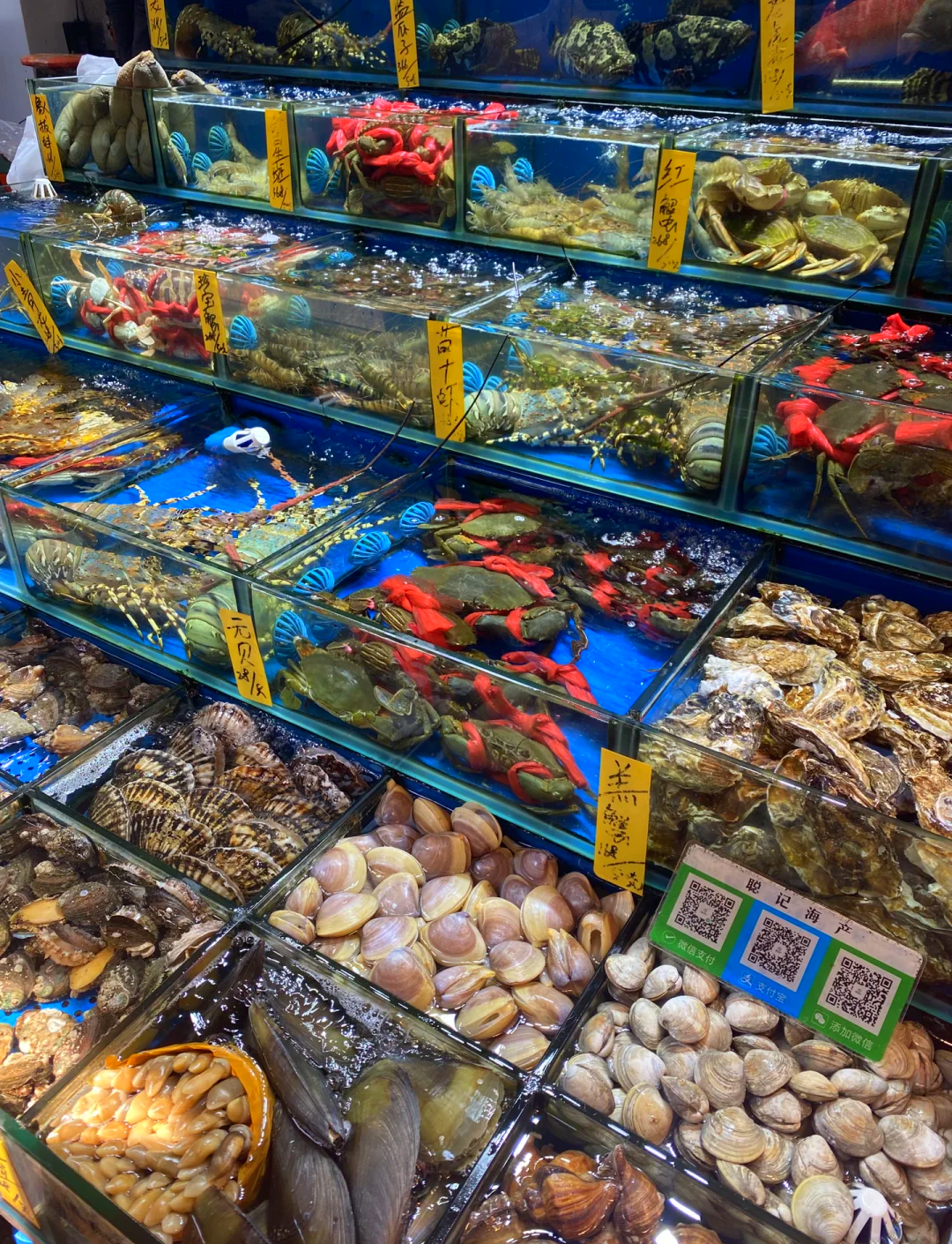 广州渔具市场有哪些(广州卖渔具的地方) 广州渔具市场有哪些(广州卖渔具的地方)