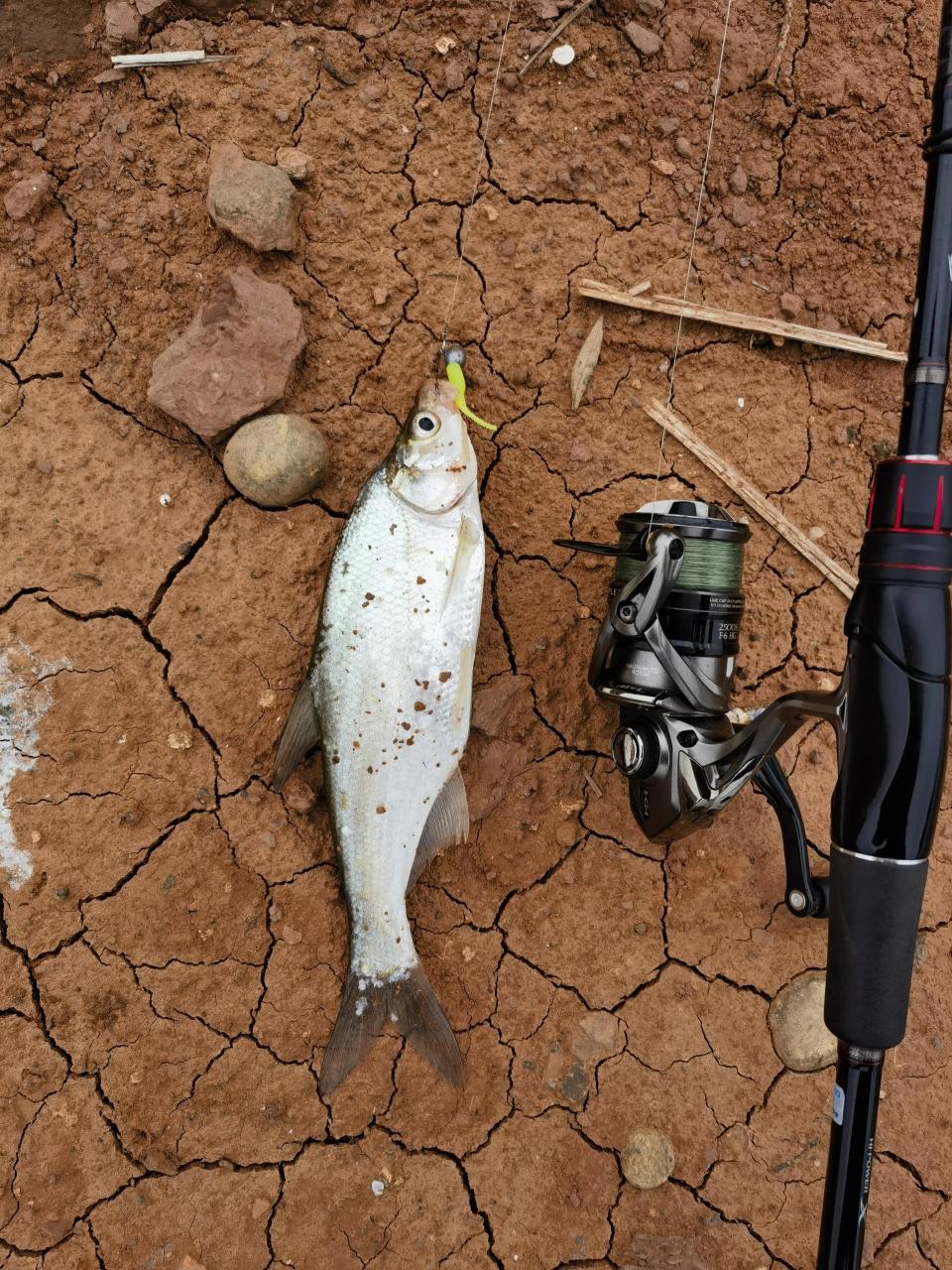 路亚钓鱼难(路亚钓鱼难度) 路亚钓鱼难(路亚钓鱼难度)