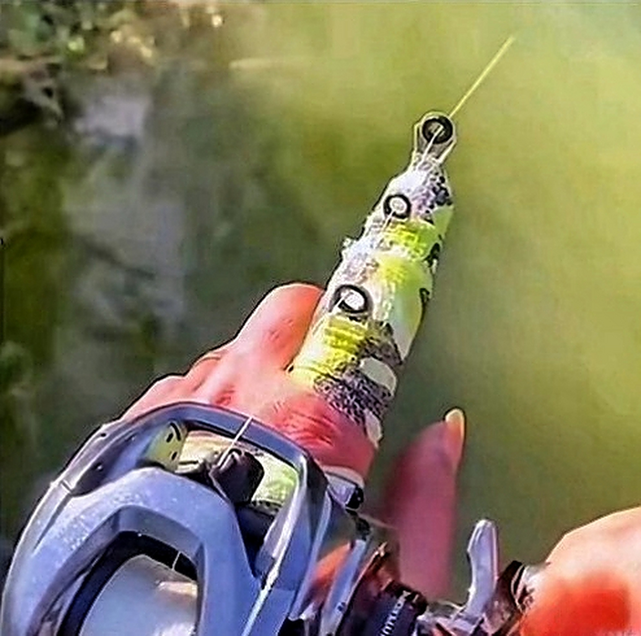 手海钓鱼群(海钓找鱼群) 手海钓鱼群(海钓找鱼群)