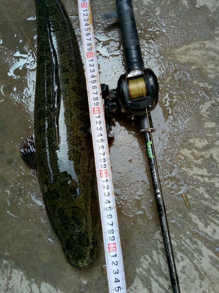 老兵渔具快手id(二手渔具8成新出售) 老兵渔具快手id(二手渔具8成新出售)