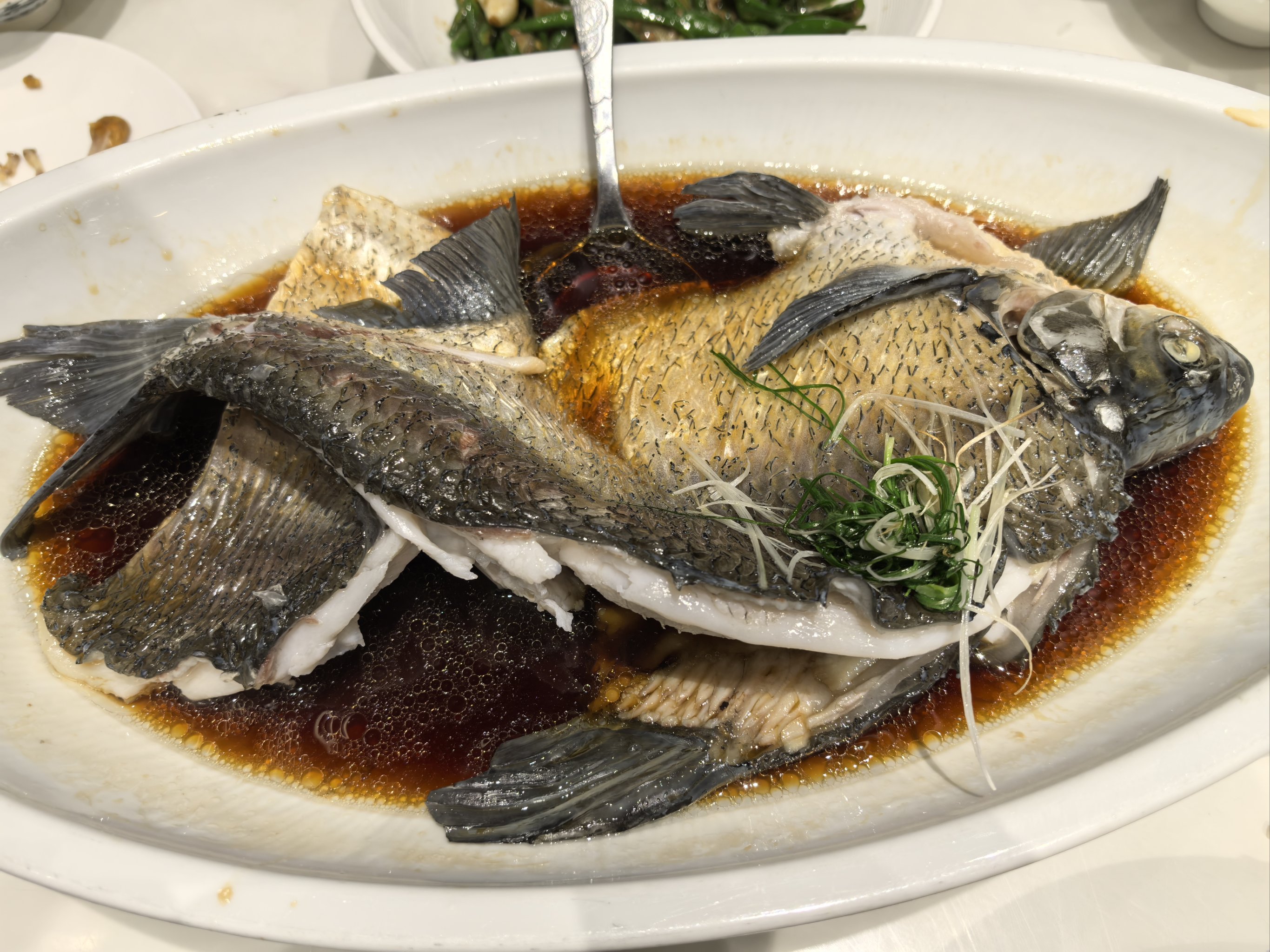 武昌鱼可以路亚吗(武昌鱼是钓底还是钓半水) 武昌鱼可以路亚吗(武昌鱼是钓底还是钓半水)