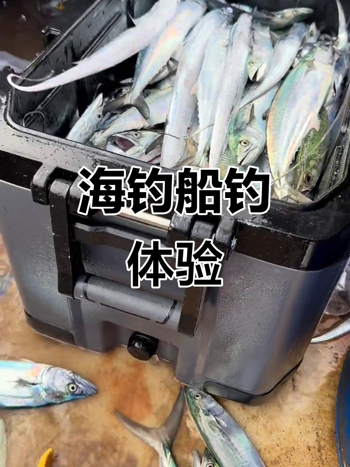 海钓船钓准备(海钓钓鱼船) 海钓船钓准备(海钓钓鱼船)