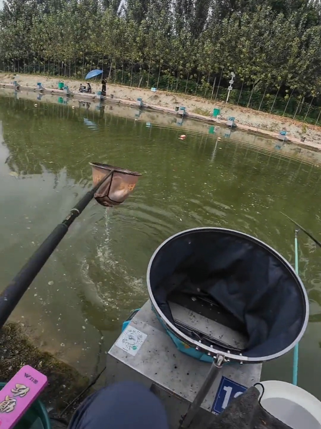 初春钓回锅鱼技巧(初春钓回锅鱼技巧视频) 初春钓回锅鱼技巧(初春钓回锅鱼技巧视频)