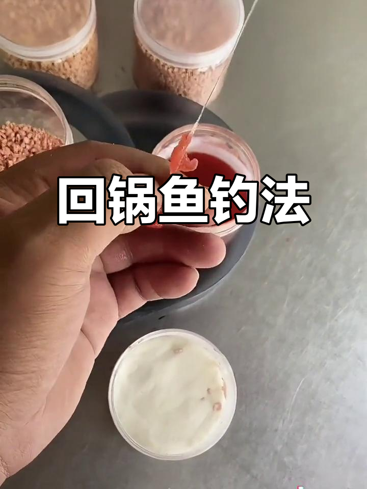 初春钓回锅鱼技巧(初春钓回锅鱼技巧视频) 初春钓回锅鱼技巧(初春钓回锅鱼技巧视频)