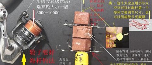 黑鱼竿的选择技巧(黑鱼竿的选择技巧视频)