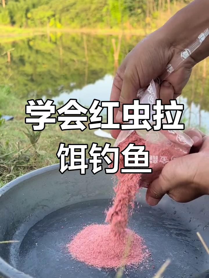 夏天红虫和饵料配方(夏天红虫钓鱼) 夏天红虫和饵料配方(夏天红虫钓鱼)