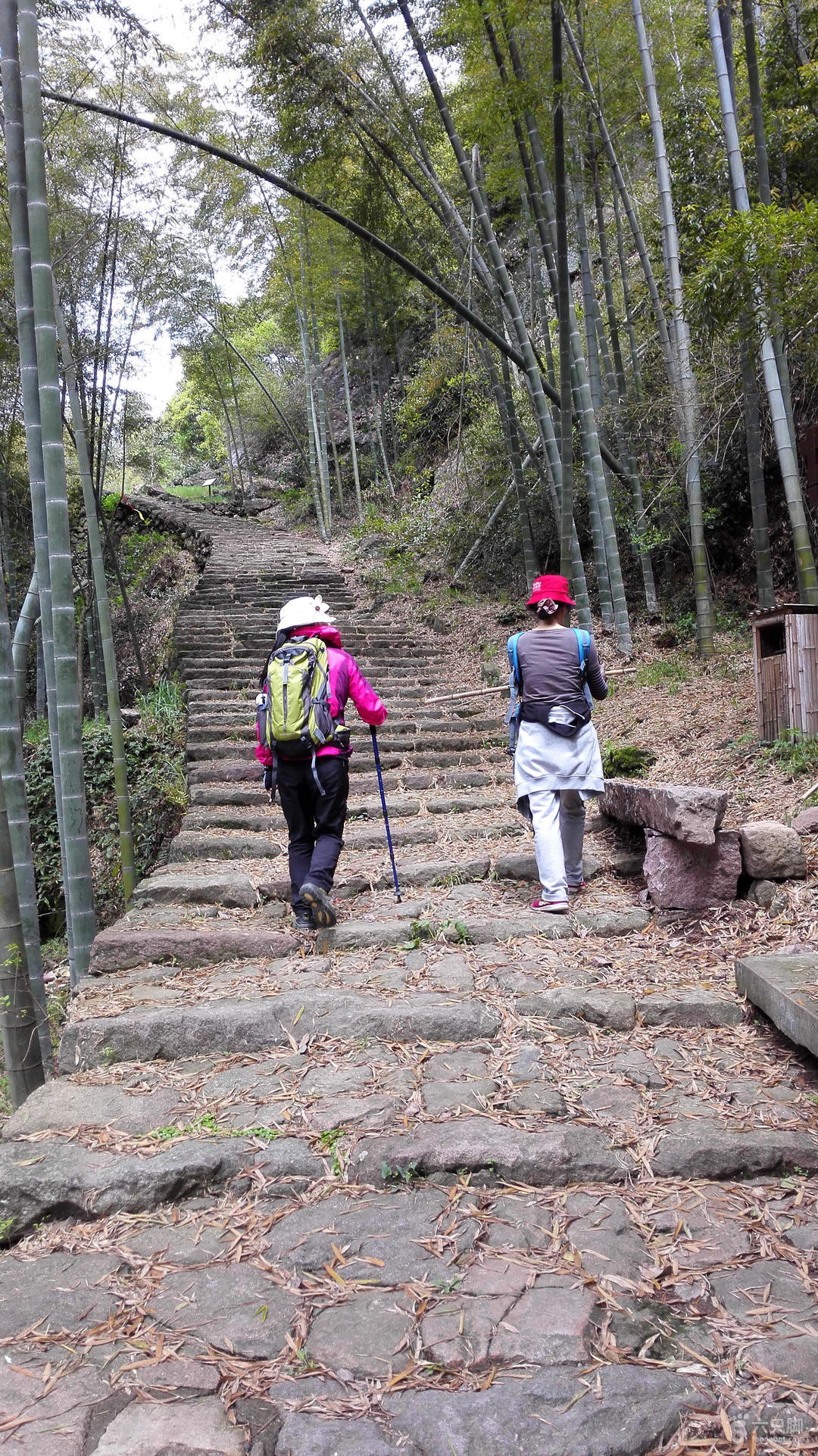 虎门新联水库技巧(虎门新联村) 虎门新联水库技巧(虎门新联村)