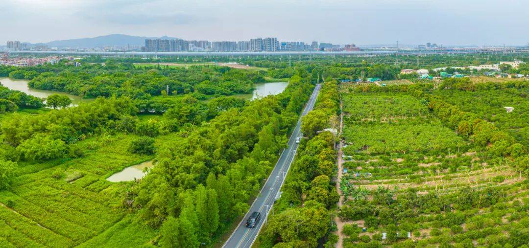 虎门新联水库技巧(虎门新联村) 虎门新联水库技巧(虎门新联村)