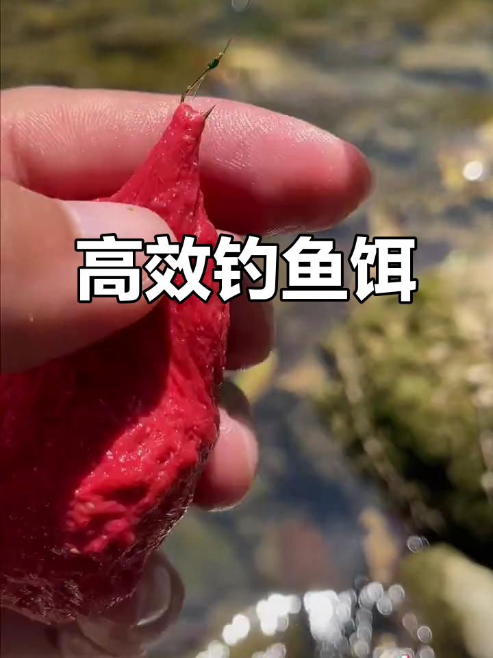 饵料加水边草(大草饵料) 饵料加水边草(大草饵料)