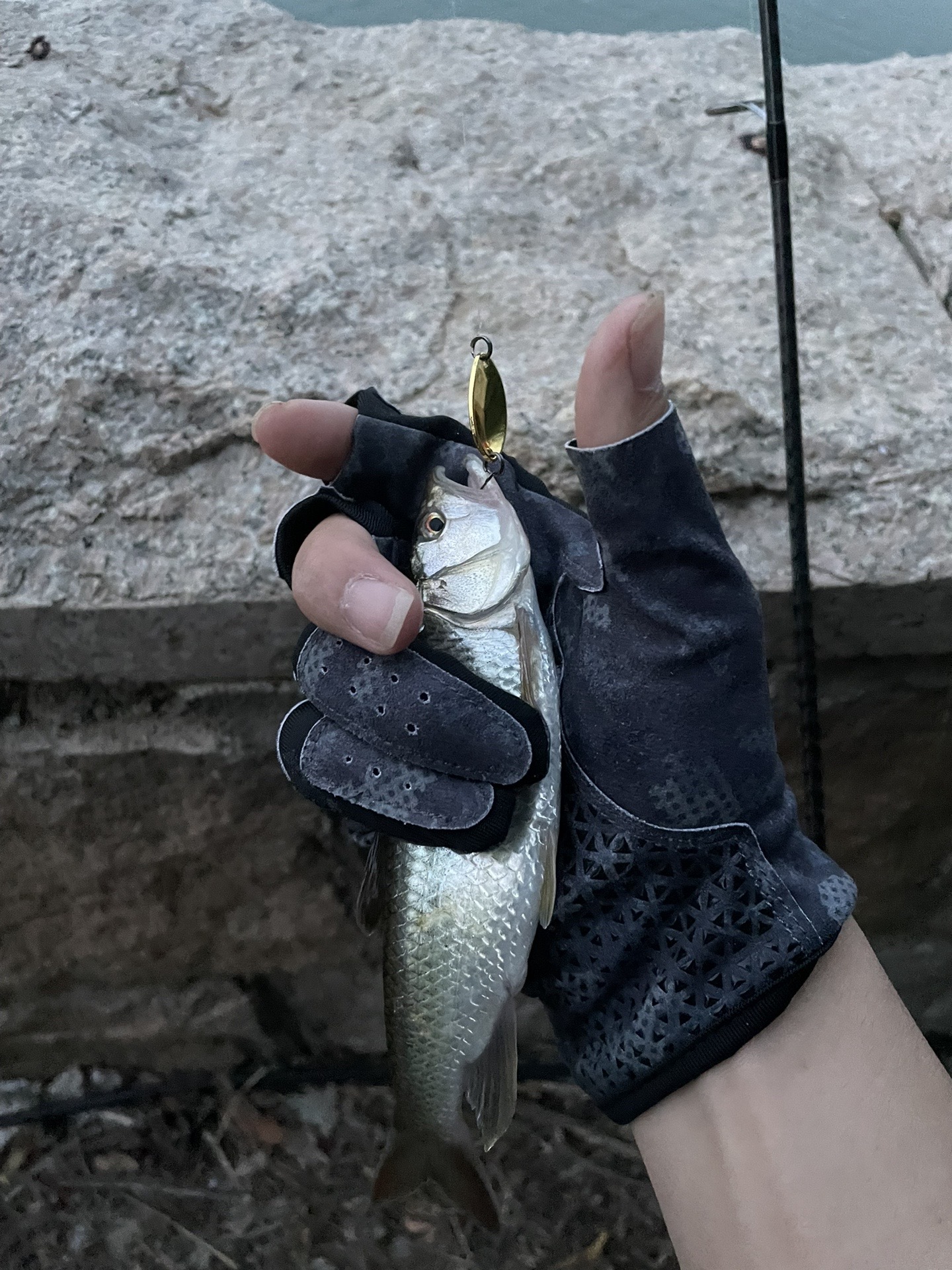 德宏路亚(路亚品牌排行榜前十位) 德宏路亚(路亚品牌排行榜前十位)