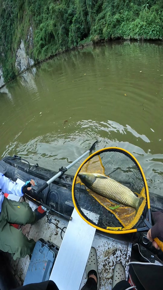 德宏路亚(路亚品牌排行榜前十位) 德宏路亚(路亚品牌排行榜前十位)