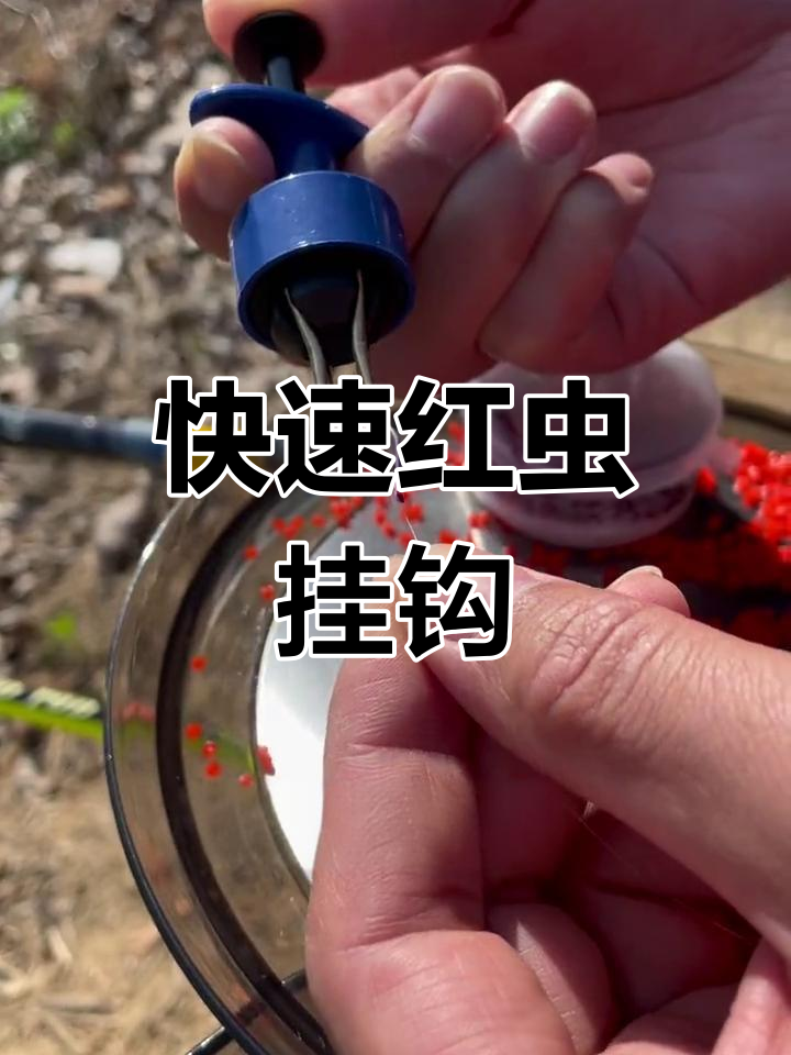 红虫皮筋饵料怎么挂钩(红虫皮筋颗粒钓小鱼怎么用) 红虫皮筋饵料怎么挂钩(红虫皮筋颗粒钓小鱼怎么用)