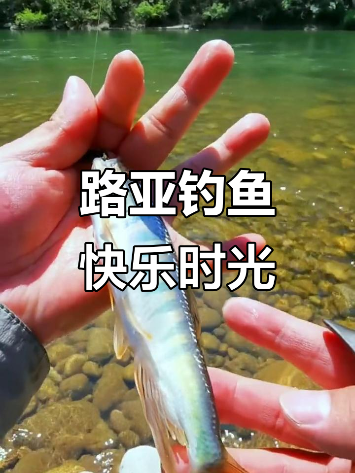 乡下河流路亚(路亚在普通河里怎么钓用什么饵) 乡下河流路亚(路亚在普通河里怎么钓用什么饵)