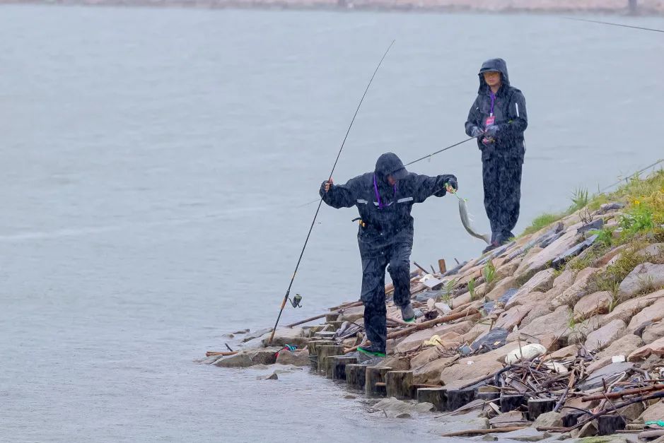 路亚在中国(中国路亚鱼) 路亚在中国(中国路亚鱼)