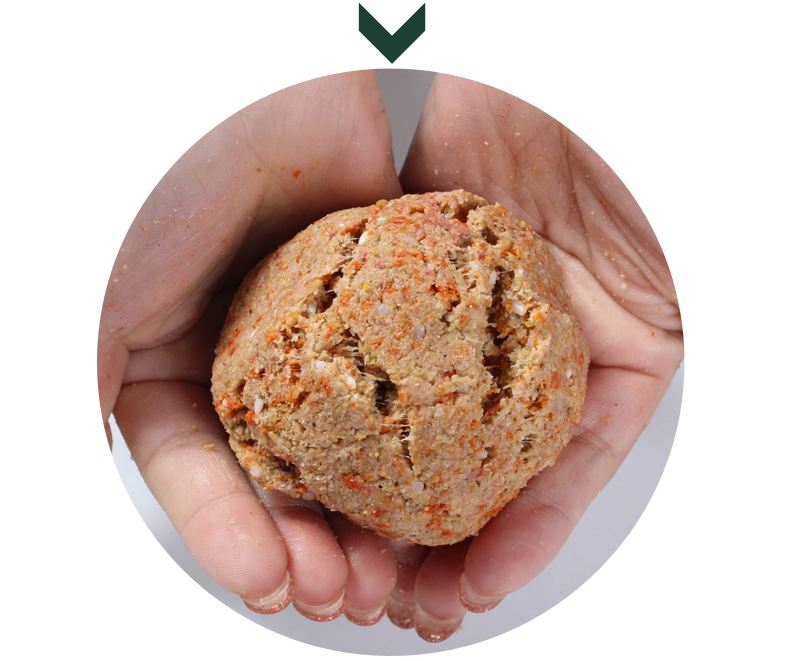 粗鲫鱼饵料(粗线钓鲫鱼) 粗鲫鱼饵料(粗线钓鲫鱼)