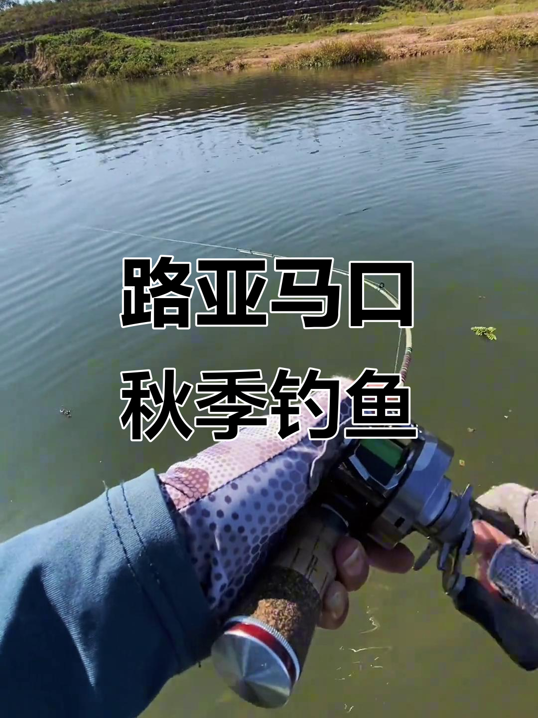 秋天路亚技巧(秋天路亚用什么假饵) 秋天路亚技巧(秋天路亚用什么假饵)