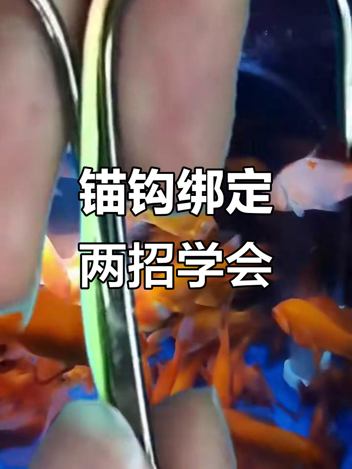 锚鱼的技巧(锚鱼教程) 锚鱼的技巧(锚鱼教程)