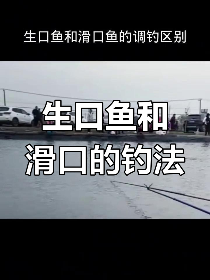 黑坑冬季调漂技巧(冬天黑坑调漂技巧调几钓几) 黑坑冬季调漂技巧(冬天黑坑调漂技巧调几钓几)