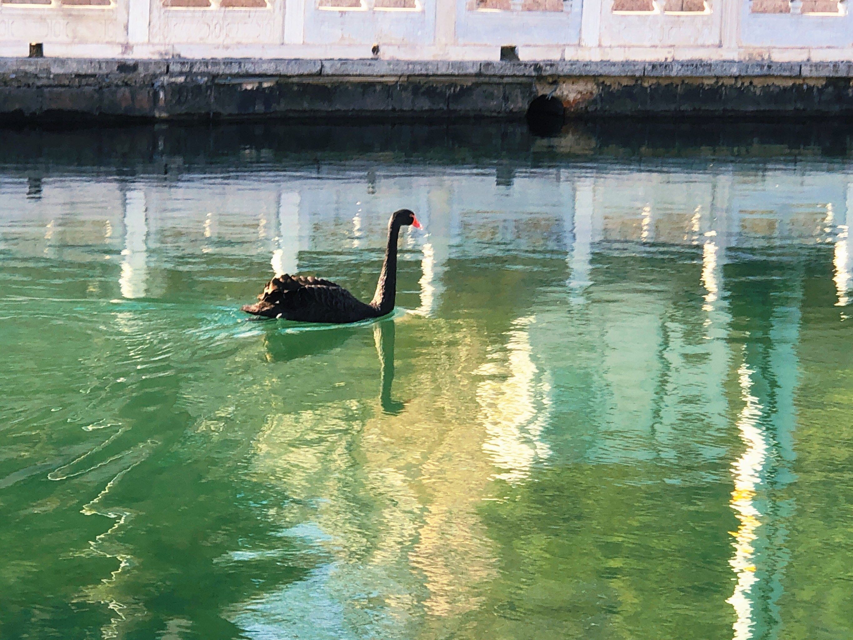 南长河路亚(南长河和昆玉河) 南长河路亚(南长河和昆玉河)