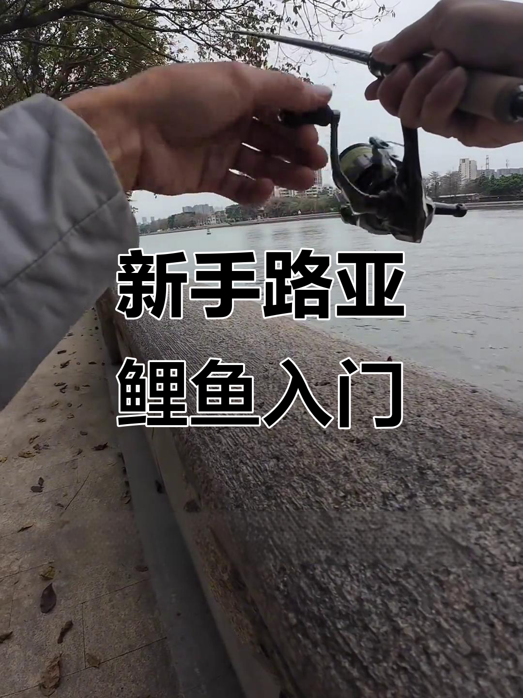 野钓遛鲤鱼的技巧视频(如何溜鲤鱼不易脱钩教学) 野钓遛鲤鱼的技巧视频(如何溜鲤鱼不易脱钩教学)