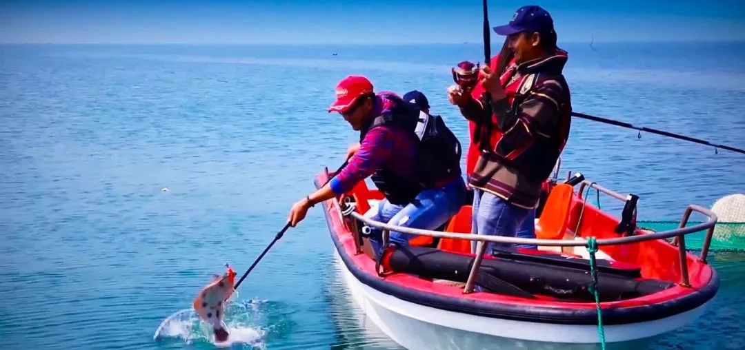 石岛坐船海钓(石岛哪个地方可以免费钓鱼) 石岛坐船海钓(石岛哪个地方可以免费钓鱼)