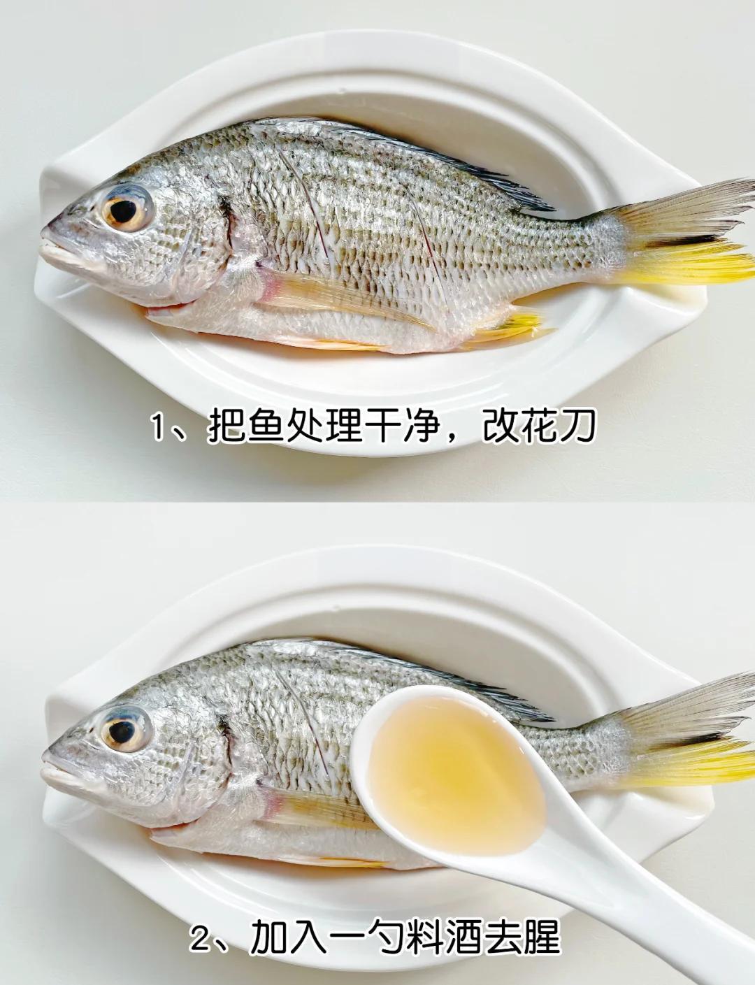钓黄翅鱼绝密技巧(钓黄翅鱼的最佳饵料)